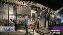 Pertama di Dunia, Fosil Dinosaurus Raksasa Dilelang