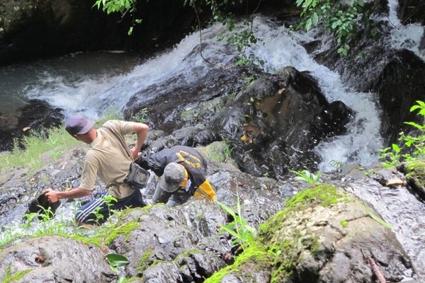 Mendaki Air Terjun 9 Tingkat di Sumatera Selatan