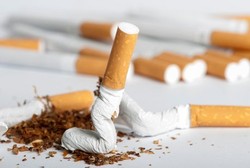 Jaringan Pengendalian Tembakau Tagih Janji Pemerintah Soal FCTC