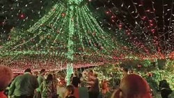 Wow! Keluarga di Australia Pasang Setengah Juta Lampu di Rumahnya