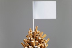 Indonesia Bakal Jadi Pasar Rokok Bila Tak Segera Aksesi FCTC