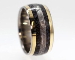  Foto: Cincin Pernikahan Ini Terbuat dari Tulang Dinosaurus Asli