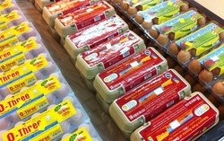 Telur Fortifikasi, Benar Bernutrisi atau Sekadar Strategi Pemasaran?