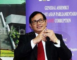 Wakil Ketua DPR: dr Ayu Ajukan Saja PK