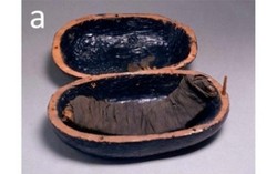 Orang Mesir Kuno Pakai Lemak dan Getah untuk Awetkan Daging Sapi