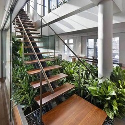 Taman Juga Bisa Ada Dalam Rumah, Lho!