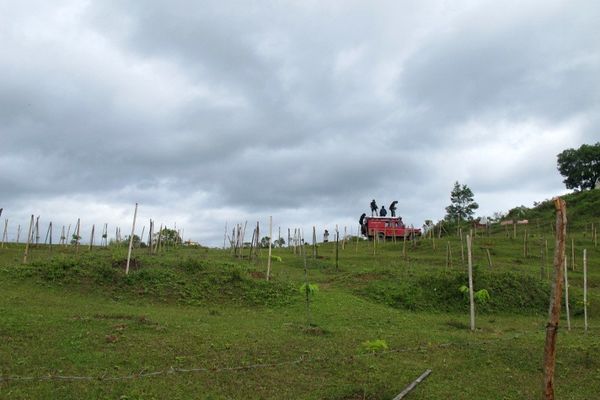 Kebut-kebutan Naik Jeep di Toba Samosir, Seru!