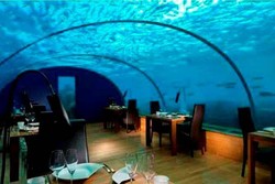 Luar Biasa! Ada Restoran Bawah Laut di Maladewa