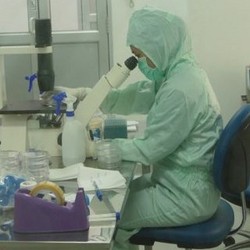 Cerita Peneliti yang Gajinya Seperti PNS dan Tak Ada Royalti