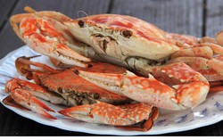 Kurangi Konsumsi 10 Makanan Berkolesterol Tinggi Ini! (2)