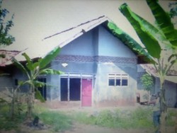 Tetangga Soal Uang Rp 25 Juta Walang: Lebaran Haji Lalu Dia Jual Sapi