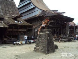 Hup! Tradisi Lompat Batu Paling Terkenal dari Nias