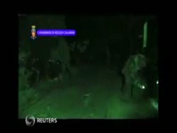 Sadis, Bos Mafia Italia Diumpankan Hidup-hidup ke Babi 