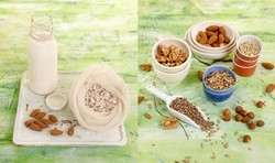 Alergi Susu Sapi? Cobalah Susu Almond dan Susu Biji Bunga Matahari yang Bernutrisi (1)