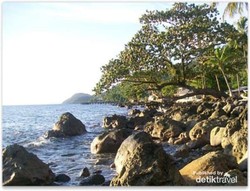 Petualangan Seru di Hutan Anambas