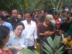 CSIS: Kalah Populer Dibanding Mega, Tapi Elektabilitas Jokowi Nomor 1