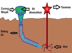 Corong dan Selang Hemat Air untuk Siram Tanaman Buatan Anak SMA