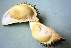 Tak Boleh Makan Durian Usai Transplantasi Hati, Ini Alasannya