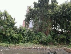 Mistis di Kali Ciliwung, Potong Kambing Setelah Ada Warga Kesurupan