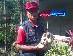 2 Penyantap Orangutan Divonis Bebas