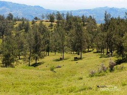Mediterania? Bukan, Ini Oelbinose di Indonesia