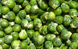Daya Baterai dari 1.000 Brussel Sprouts Berhasil Terangi Pohon Natal