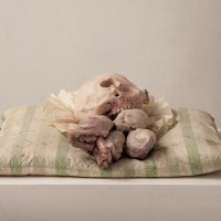 Ketika Kulit Terlepas dari Tulang dan Daging 