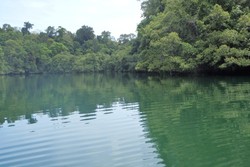 Danau Haji Buang, Kembaran Danau Kakaban di Derawan