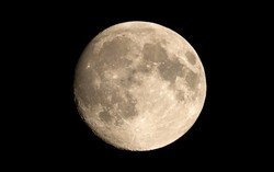 NASA Kembangkan Teknologi Bertanam di Luar Angkasa