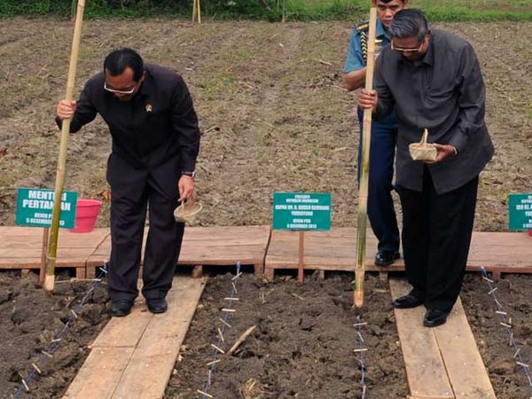 SBY Tanam Jagung di Pamekasan