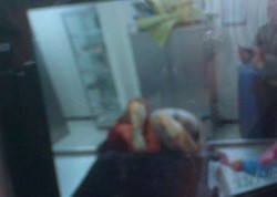 Pembunuh Tante Heny Seorang Terapis