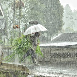 Foto Human Interest Jadi Jawara Kontes FotoStop Hujan