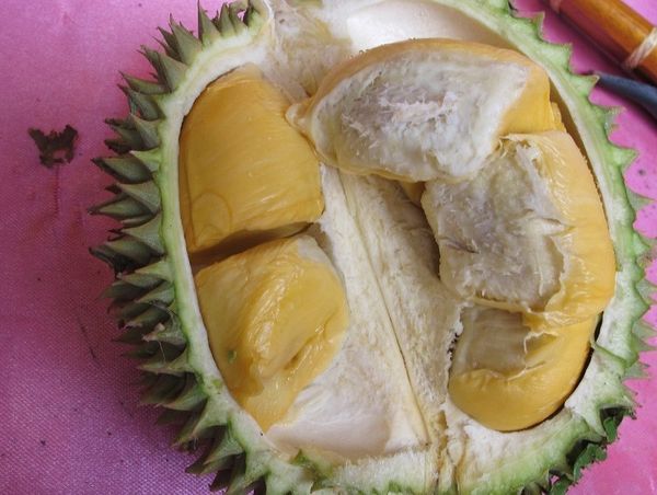 Durian Tembaga dari Sumsel, Kuning & Rasanya Manis!