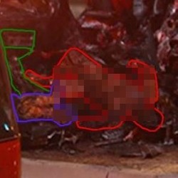 Jenazah Paul Walker yang Telah Hangus Makin Terungkap