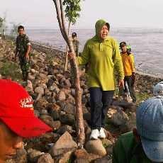 Risma Pimpin Penanaman Pohon di Pantai Batu Kenjeran