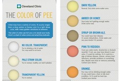Diagram Sehat Ini Bisa Membantu Mengartikan Warna Urine