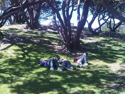 Menjajal Cable Car Ikon Wellington