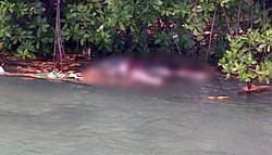 Mayat Laki-laki Ditemukan Mengambang di Kepulauan Seribu