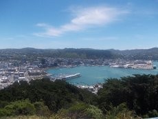 Menikmati Pesona Wellington dari Puncak Mount Victoria