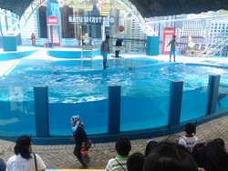 Akhir Pekan Seru Bersama Hewan Lucu di Jatim Park