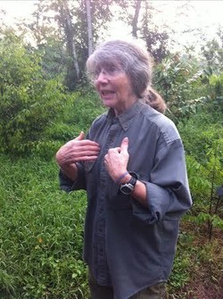 Pembunuhan Orangutan di Kalbar Jadi Sorotan Dunia