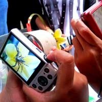 Menyiasati Pemotretan Makro Ala PocketGraphy Community