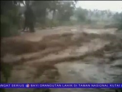 Video Amatir Datangnya Banjir Bandang
