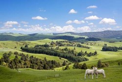 Sebelum Punya Anak, Datang Dulu ke 4 Tempat Ini