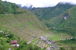 Filipina Punya Sawah Berumur 2.000 Tahun!