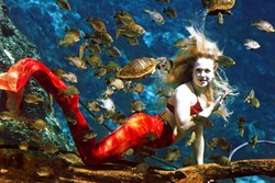 Inilah Tempat Bertemu Putri Duyung yang Cantik di AS