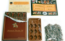 Sekarang Biji Kakao sampai Cokelat Batangan Bisa Dibuat Sendiri di Rumah!