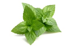 Manfaat Sehat di Balik Rasa Segar Peppermint