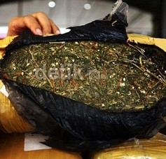 Jadi Pengedar Ganja 1 Ton, Ibu dan Anak Ini Terancam 20 Tahun Penjara