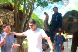  Ketakutan Diangkat Gajah Thailand